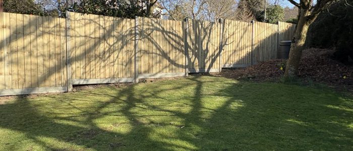 Staggered featheredge in a garden